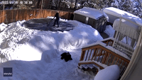 Arizona Woman Struggles to Shovel Snow Off Trampoline – Just in Time for More Snow