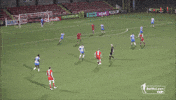 Goal Teamwork GIF by Cliftonville Football Club