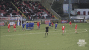 Celebration Goal GIF by Cliftonville Football Club