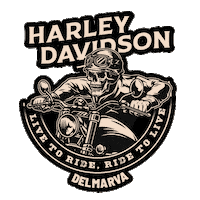 Bike Metal Sticker by Rommel Harley-Davidson
