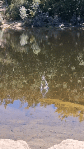 Simongip giphyupload GIF