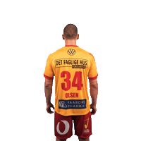 GOGSport handball handbold gog gudme Sticker