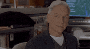 Mark Harmon Gibbs GIF by CBS