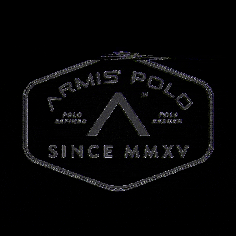 armispolo horse helmet polo armis GIF