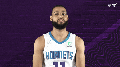 Nc State Sport GIF by Charlotte Hornets