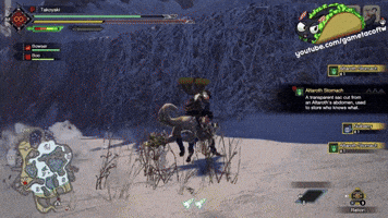 Rampage Record #4 - Frost Islands - Monster Hunter