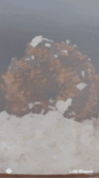 Snowglobe GIF by Little Brownie Bakers