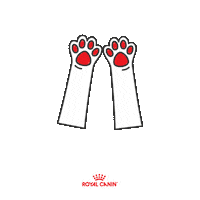 Vet Veterinario Sticker by Royal Canin Brasil