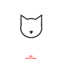 Vet Veterinario Sticker by Royal Canin Brasil