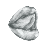 lips STICKER by imoji