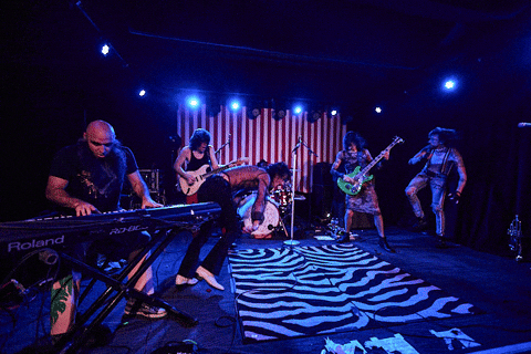 Live Music Dance GIF by wade.photo