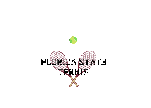 fl state college Sticker by Florida State University