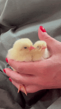 Baby Sleeping GIF