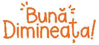 Romania Andreeaillustration Sticker