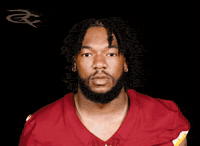 Washington Commanders GIF by Respective