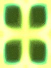 Art Breathe GIF by Orla in Berlin