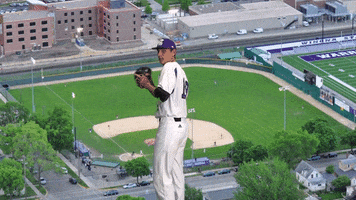 Baseball Warriors GIF by WinonaStateATH