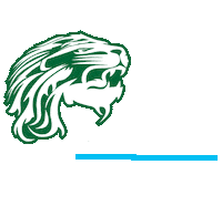 Football Spring Sticker by Bridge The Gaps