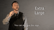 sign language asl GIF by Sign with Robert
