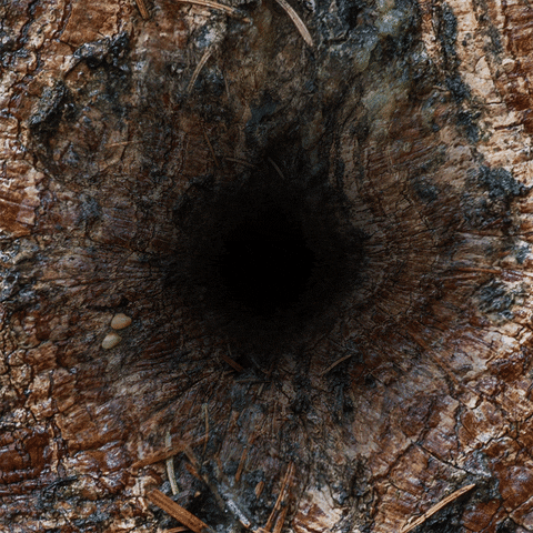 Philanthropy Funder GIF by Center for Story-based Strategy