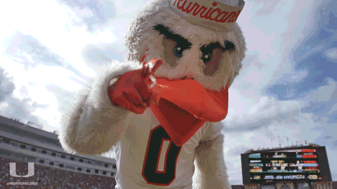 U Hands College Football GIF by Miami Hurricanes