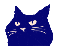 Vkvk Annoyed Cat Sticker by BVK Students Hannover