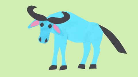 purestarkids giphygifmaker dance gnu pure star kids GIF