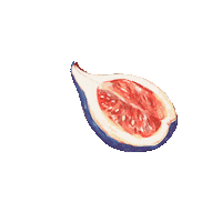 Summer Fruit Sticker