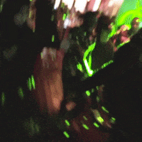 loyal duce trends & friends GIF by ☥ÅKLØ91☥