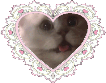 I Love You Cat Sticker