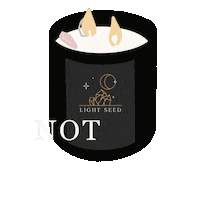 lightseed soy candles energy healing light seed candles light seed Sticker