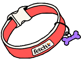 Collar Love Sticker by Fetch by The Dodo