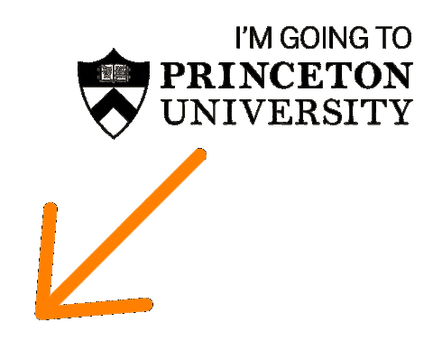 Princeton 2030 Sticker by Princeton University