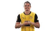 Borussia Dortmund Love Sticker by Bundesliga