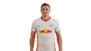 Goal Win Sticker by RB Leipzig