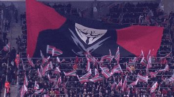 Kv Kortrijk Football GIF by SV Zulte Waregem