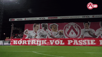 Kvk GIF by KV Kortrijk