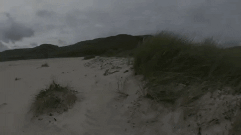 Beach Sand GIF by Oceana