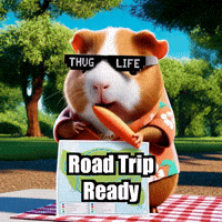 Picnic Road Trip Ready GIF by Guinea Gambino