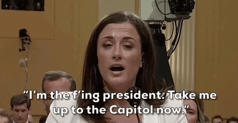 Political gif. Cassidy Hutchinson, testifying at the January 6th hearings, quotes Donald Trump. Text, “I’m the f’ing president. Take me to the Capitol now.”
