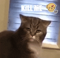 kill me lol GIF