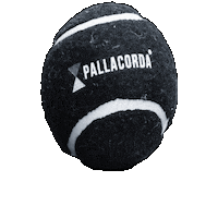 Ball Tennis Sticker by pallacorda