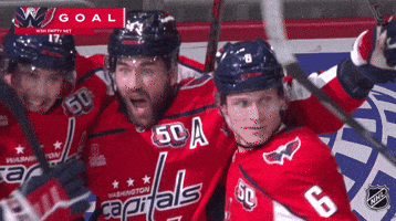 Happy Washington Capitals GIF by NHL