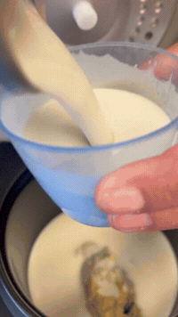 Cookie Dough. Yes, In This. | Rice Robot