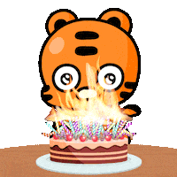 Celebrate Happy Birthday Sticker by OOZ&mates