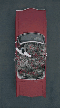 METCHA car flowers leather reels GIF