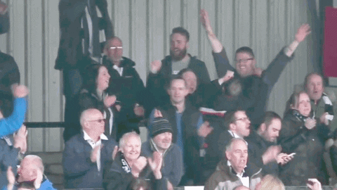 officialdafc giphyupload football celebrating fans GIF