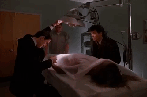 season 1 GIF by Twin Peaks on Showtime
