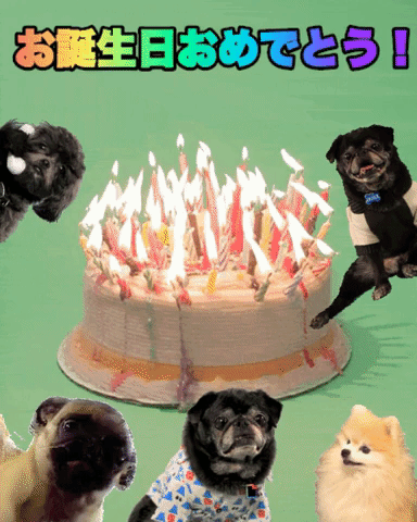 happy birthday dogs GIF