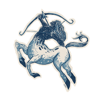jamesreads zodiac astrology horoscope sagittarius Sticker
